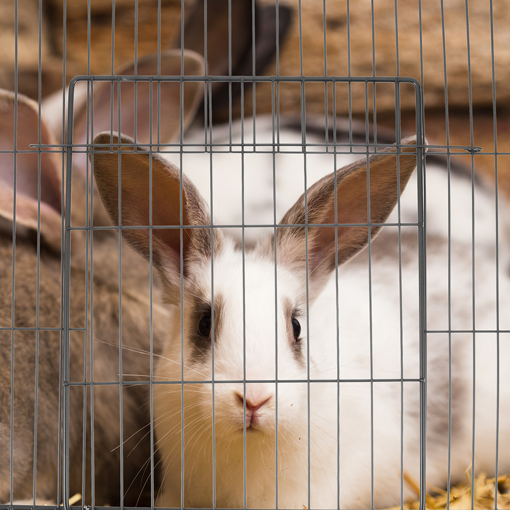 Rabbit Cage Wire - 2Pcs Lembaran Pagar Hewan Peliharaan Serbaguna