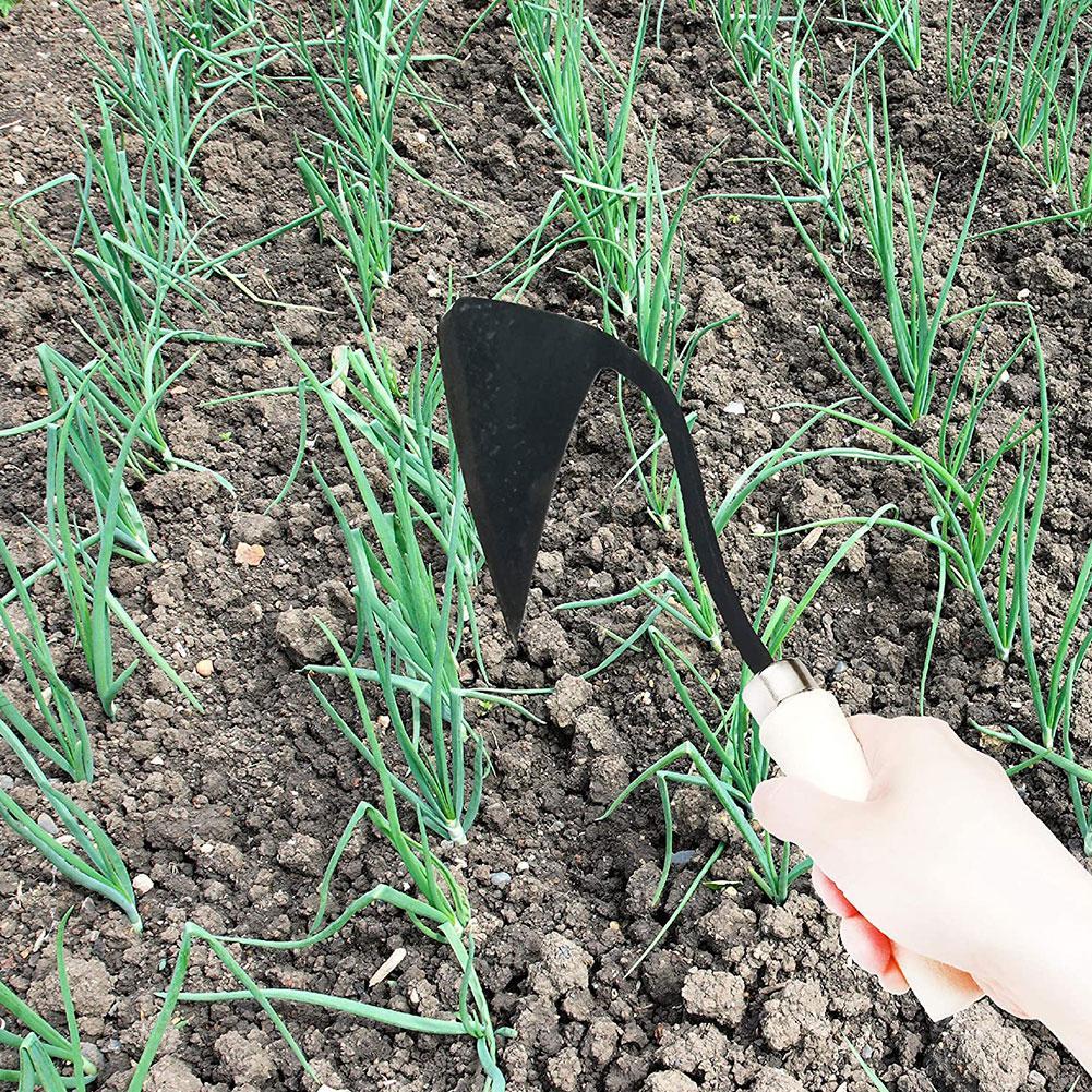 Alat pertanian Hoes segitiga F - Agriculture Farming Vegetables ulasan dan harga