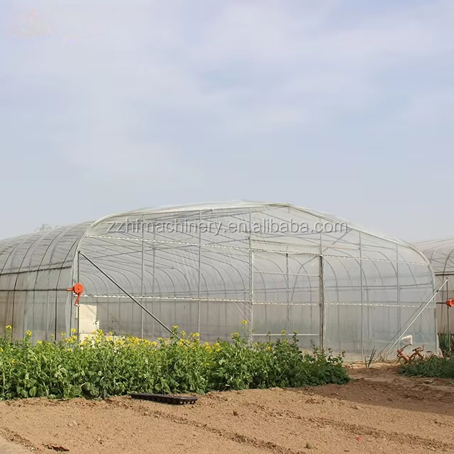 Rumah Kaca Taman Besar Tipe Wa - Agriculture Farming Vegetables ulasan dan harga
